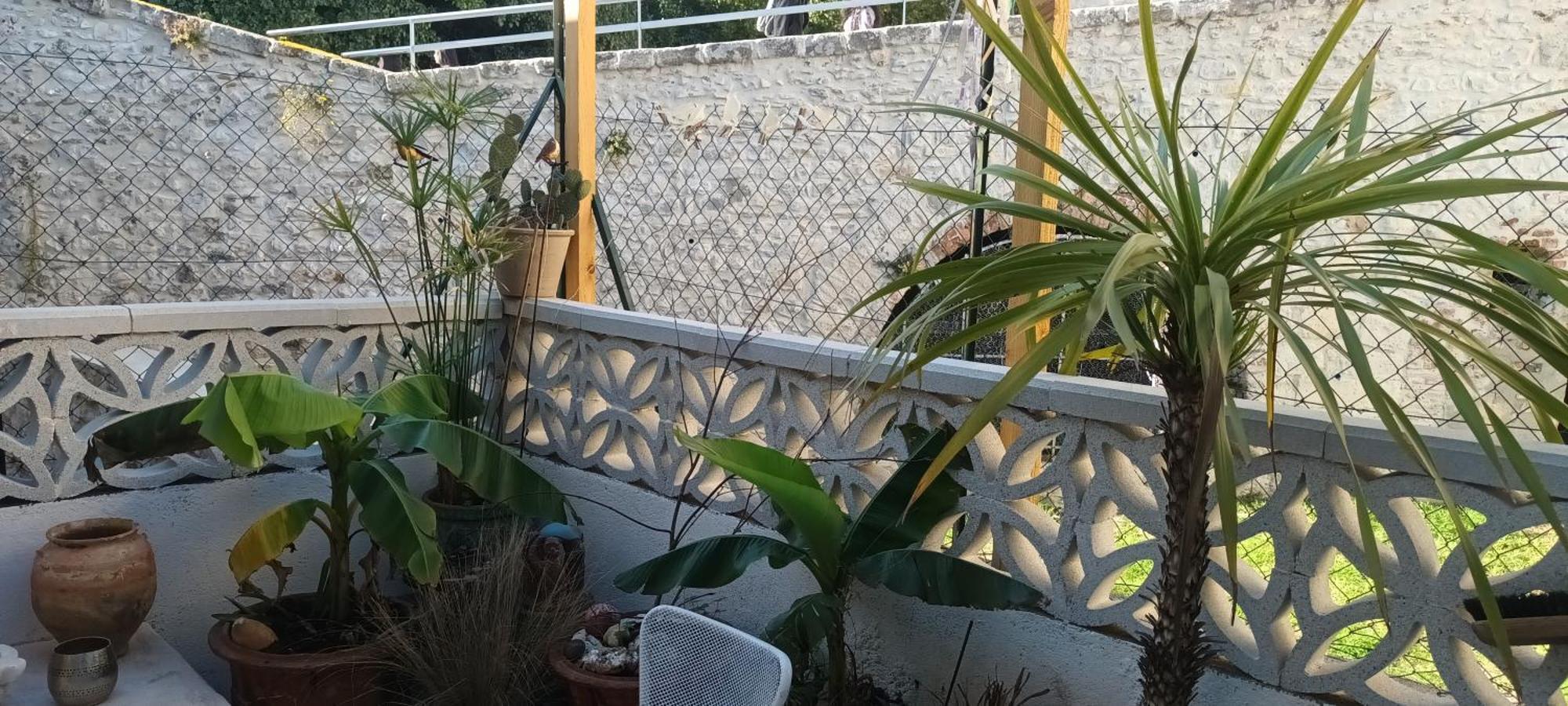 Maison Rulman نيم المظهر الخارجي الصورة